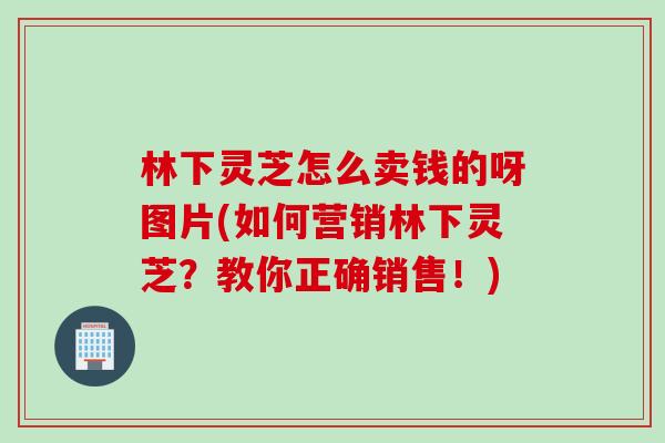 林下灵芝怎么卖钱的呀图片(如何营销林下灵芝?教你正确销售!) 林下灵芝怎么卖钱的呀图片(如何营销林下灵芝?教你正确销售!)