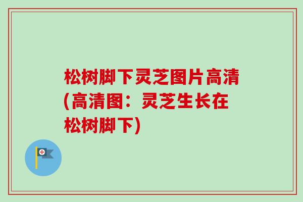 松树脚下灵芝图片高清(高清图：灵芝生长在松树脚下)