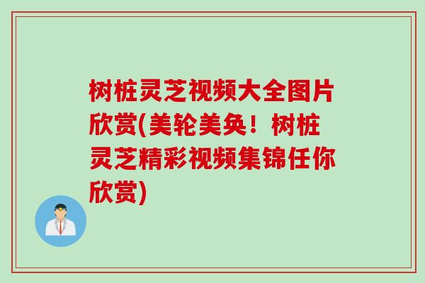 树桩灵芝视频大全图片欣赏(美轮美奂！树桩灵芝精彩视频集锦任你欣赏)