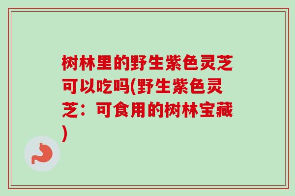 树林里的野生紫色灵芝可以吃吗(野生紫色灵芝：可食用的树林宝藏)