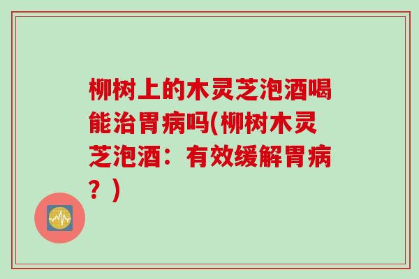 柳树上的木灵芝泡酒喝能治胃病吗(柳树木灵芝泡酒：有效缓解胃病？)