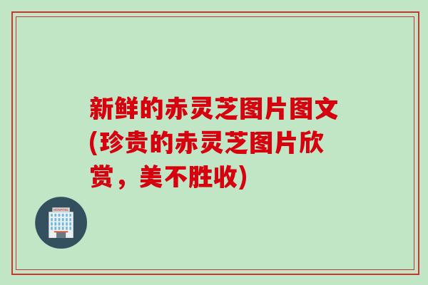 新鲜的赤灵芝图片图文(珍贵的赤灵芝图片欣赏，美不胜收)