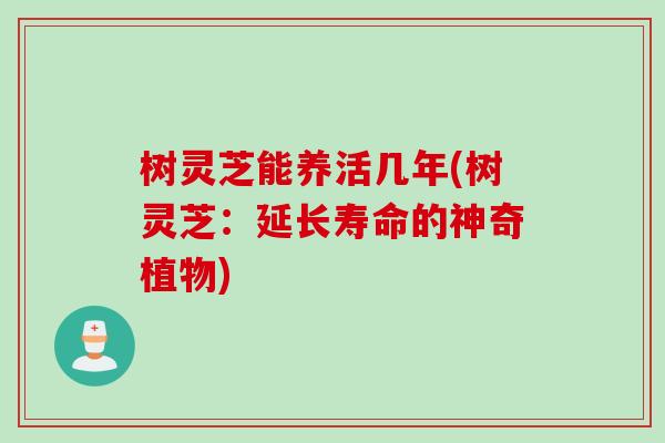 树灵芝能养活几年(树灵芝：延长寿命的神奇植物)