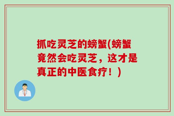 抓吃灵芝的螃蟹(螃蟹竟然会吃灵芝,这才是真正的中医食疗!) 抓吃灵芝的螃蟹(螃蟹竟然会吃灵芝,这才是真正的中医食疗!)