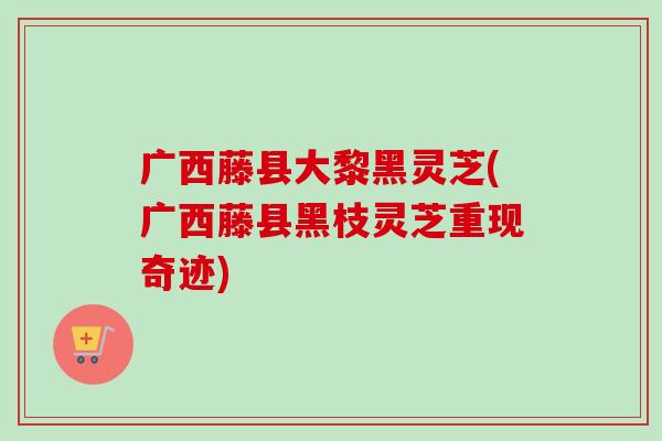 广西藤县大黎黑灵芝(广西藤县黑枝灵芝重现奇迹)