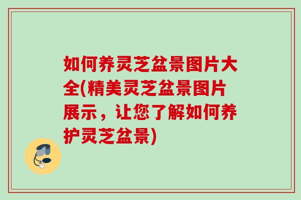 如何养灵芝盆景图片大全(精美灵芝盆景图片展示，让您了解如何养护灵芝盆景)