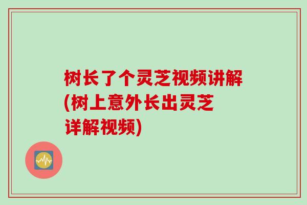 树长了个灵芝视频讲解(树上意外长出灵芝 详解视频)
