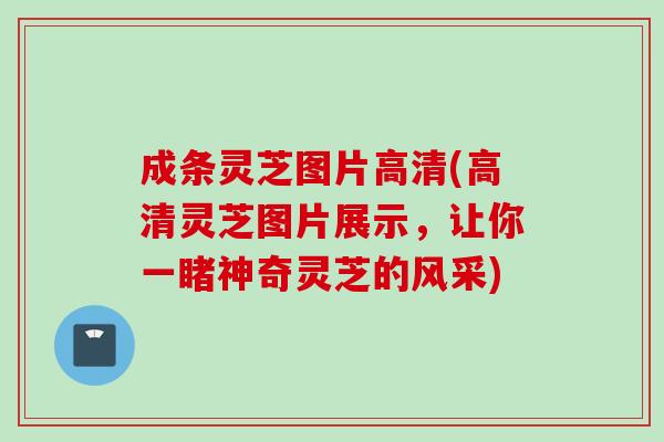 成条灵芝图片高清(高清灵芝图片展示，让你一睹神奇灵芝的风采)