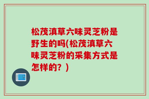 松茂滇草六味灵芝粉是野生的吗(松茂滇草六味灵芝粉的采集方式是怎样的？)