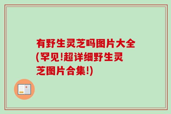 有野生灵芝吗图片大全(罕见!超详细野生灵芝图片合集!)