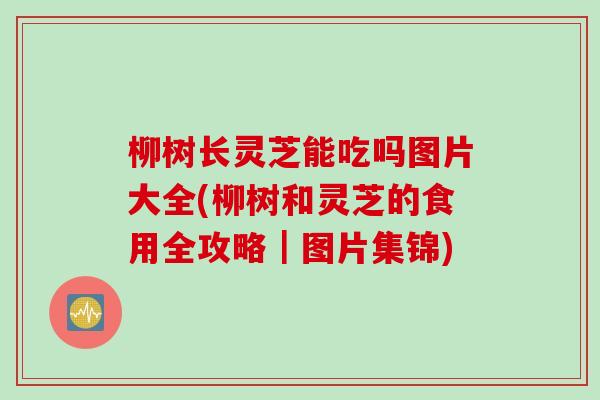 柳树长灵芝能吃吗图片大全(柳树和灵芝的食用全攻略｜图片集锦)