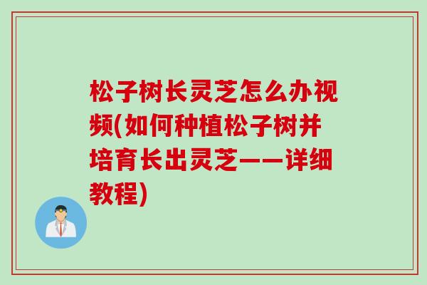 松子树长灵芝怎么办视频(如何种植松子树并培育长出灵芝——详细教程)
