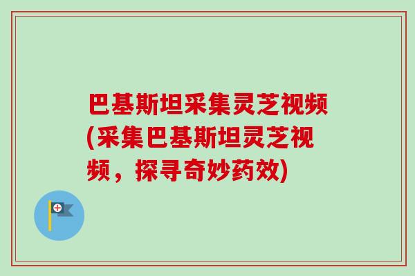 巴基斯坦采集灵芝视频(采集巴基斯坦灵芝视频，探寻奇妙)