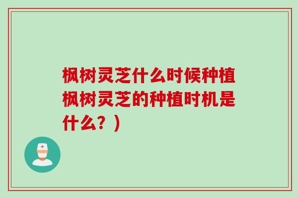 枫树灵芝什么时候种植枫树灵芝的种植时机是什么？)