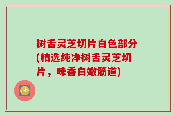 树舌灵芝切片白色部分(精选纯净树舌灵芝切片,味香白嫩筋道) 树舌灵芝切片白色部分(精选纯净树舌灵芝切片,味香白嫩筋道)