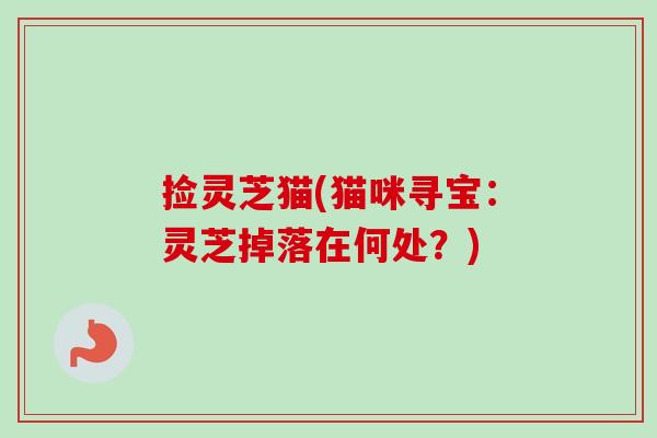 捡灵芝猫(猫咪寻宝：灵芝掉落在何处？)