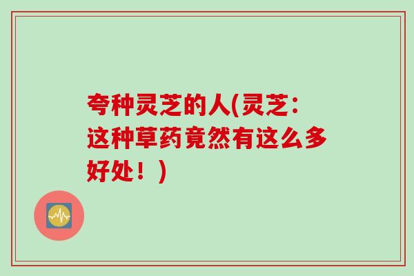夸种灵芝的人(灵芝：这种草药竟然有这么多好处！)