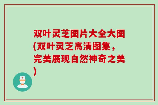 双叶灵芝图片大全大图(双叶灵芝高清图集，完美展现自然神奇之美)