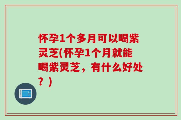 怀孕1个多月可以喝紫灵芝(怀孕1个月就能喝紫灵芝，有什么好处？)