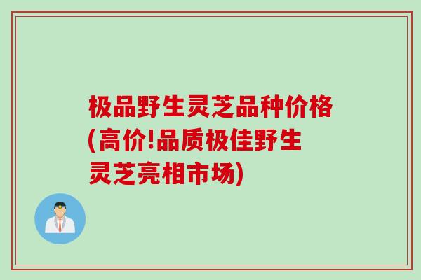 极品野生灵芝品种价格(高价!品质极佳野生灵芝亮相市场)