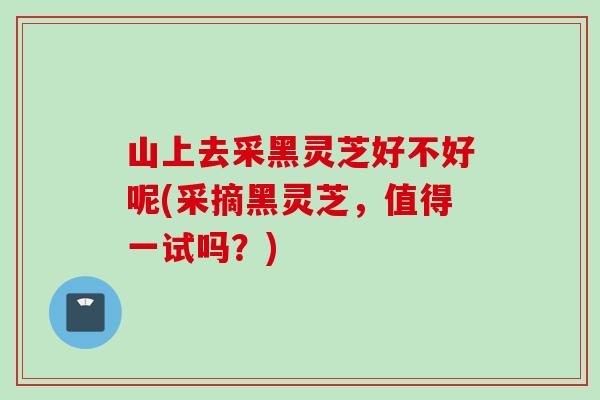山上去采黑灵芝好不好呢(采摘黑灵芝,值得一试吗?) 山上去采黑灵芝好不好呢(采摘黑灵芝,值得一试吗?)