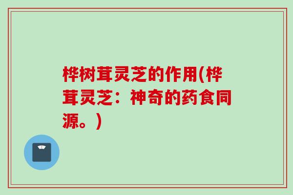 桦树茸灵芝的作用(桦茸灵芝：神奇的药食同源。)
