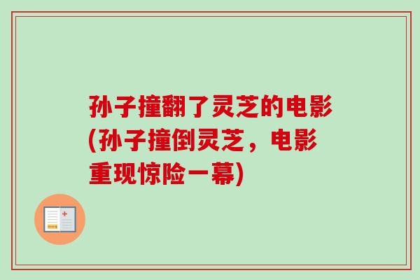 孙子撞翻了灵芝的电影(孙子撞倒灵芝，电影重现惊险一幕)
