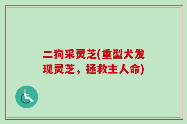 二狗采灵芝(重型犬发现灵芝，拯救主人命)