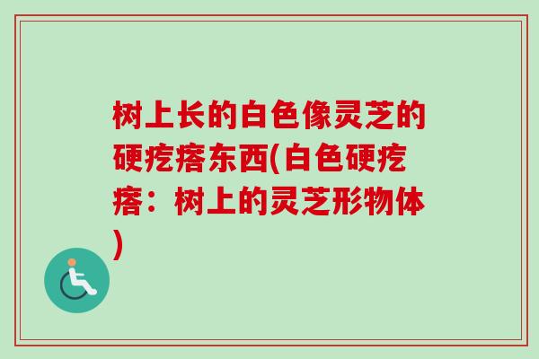 树上长的白色像灵芝的硬疙瘩东西(白色硬疙瘩：树上的灵芝形物体)