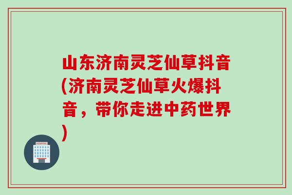 山东济南灵芝仙草抖音(济南灵芝仙草火爆抖音，带你走进中药世界)