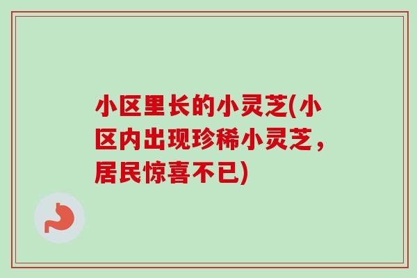 小区里长的小灵芝(小区内出现珍稀小灵芝，居民惊喜不已)