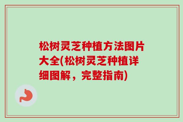 松树灵芝种植方法图片大全(松树灵芝种植详细图解,完整指南) 松树灵芝种植方法图片大全(松树灵芝种植详细图解,完整指南)