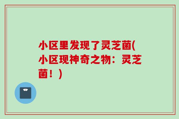 小区里发现了灵芝菌(小区现神奇之物：灵芝菌！)