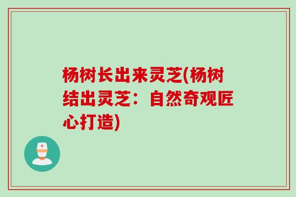 杨树长出来灵芝(杨树结出灵芝：自然奇观匠心打造)