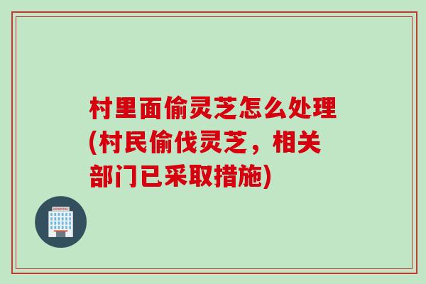 村里面偷灵芝怎么处理(村民偷伐灵芝，相关部门已采取措施)
