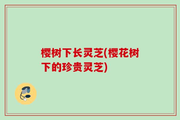 樱树下长灵芝(樱花树下的珍贵灵芝) 樱树下长灵芝(樱花树下的珍贵灵芝)
