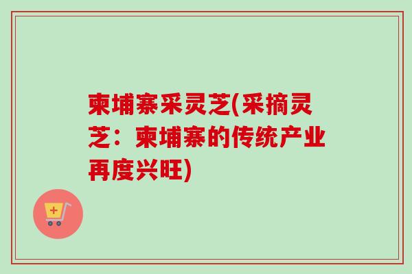 柬埔寨采灵芝(采摘灵芝：柬埔寨的传统产业再度兴旺)