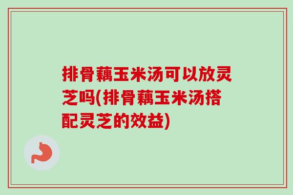 排骨藕玉米汤可以放灵芝吗(排骨藕玉米汤搭配灵芝的效益)