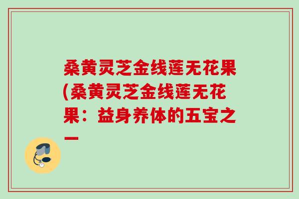 桑黄灵芝金线莲无花果(桑黄灵芝金线莲无花果：益身养体的五宝之一