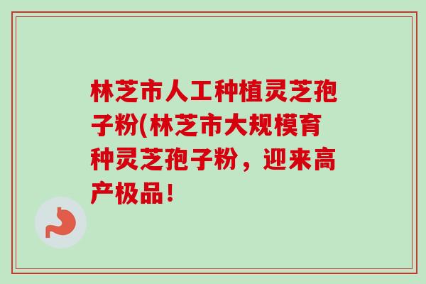 林芝市人工种植灵芝孢子粉(林芝市大规模育种灵芝孢子粉,迎来高产极品! 林芝市人工种植灵芝孢子粉(林芝市大规模育种灵芝孢子粉,迎来高产极品!