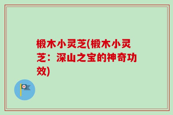 椴木小灵芝(椴木小灵芝:深山之宝的神奇功效) 椴木小灵芝(椴木小灵芝:深山之宝的神奇功效)