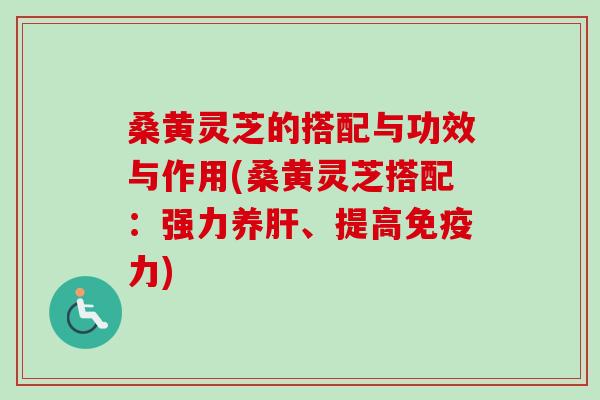 桑黄灵芝的搭配与功效与作用(桑黄灵芝搭配：强力养肝、提高免疫力)
