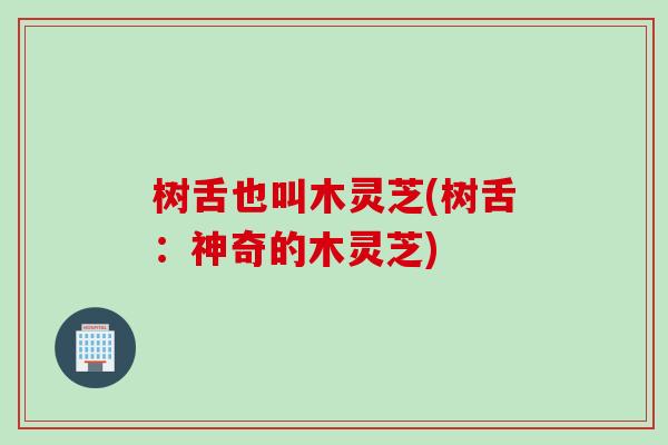 树舌也叫木灵芝(树舌：神奇的木灵芝)