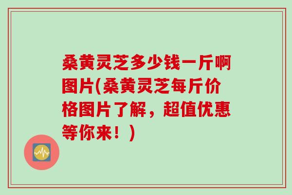 桑黄灵芝多少钱一斤啊图片(桑黄灵芝每斤价格图片了解，超值优惠等你来！)