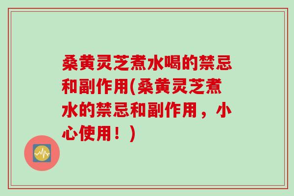 桑黄灵芝煮水喝的禁忌和副作用(桑黄灵芝煮水的禁忌和副作用，小心使用！)