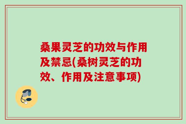 桑果灵芝的功效与作用及禁忌(桑树灵芝的功效、作用及注意事项)