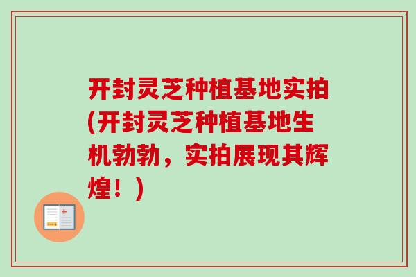 开封灵芝种植基地实拍(开封灵芝种植基地生机勃勃,实拍展现其辉煌!) 开封灵芝种植基地实拍(开封灵芝种植基地生机勃勃,实拍展现其辉煌!)
