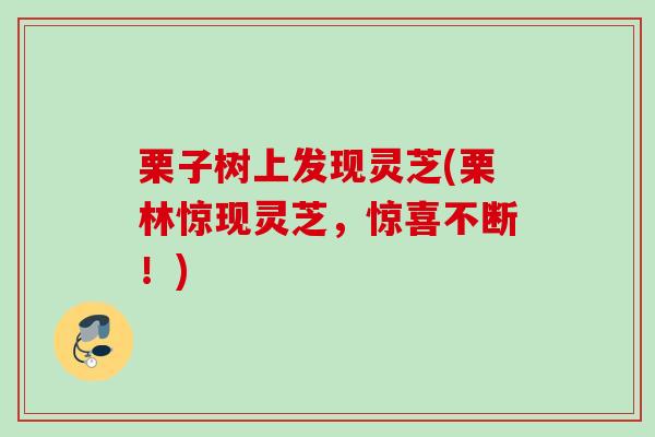 栗子树上发现灵芝(栗林惊现灵芝，惊喜不断！)
