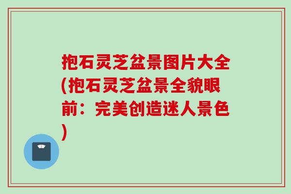 抱石灵芝盆景图片大全(抱石灵芝盆景全貌眼前：完美创造迷人景色)