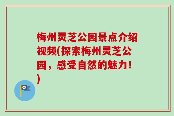 梅州灵芝公园景点介绍视频(探索梅州灵芝公园，感受自然的魅力！)
